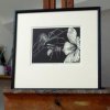 Enemy No 2 (studio/framed)