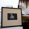 Swallowtail Butterfly (framed)