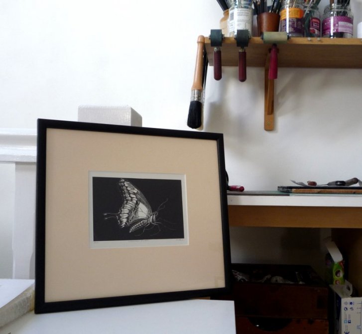 Swallowtail Butterfly (framed)