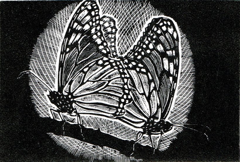Amorous Monarchs (original print)