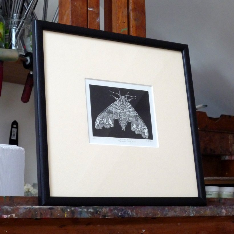 Mimas tiliae: The Lime Hawk Moth (framed)