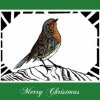 Christmas cards (Robin: 5 cards with envelopes)