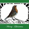 Robin: Christmas Card