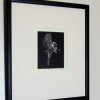 Blue Tit (framed)