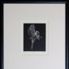 Blue Tit (frame)